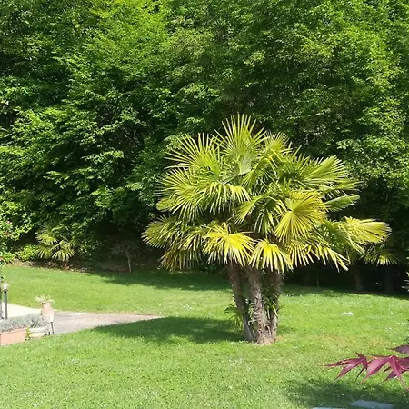 Relax Vista *